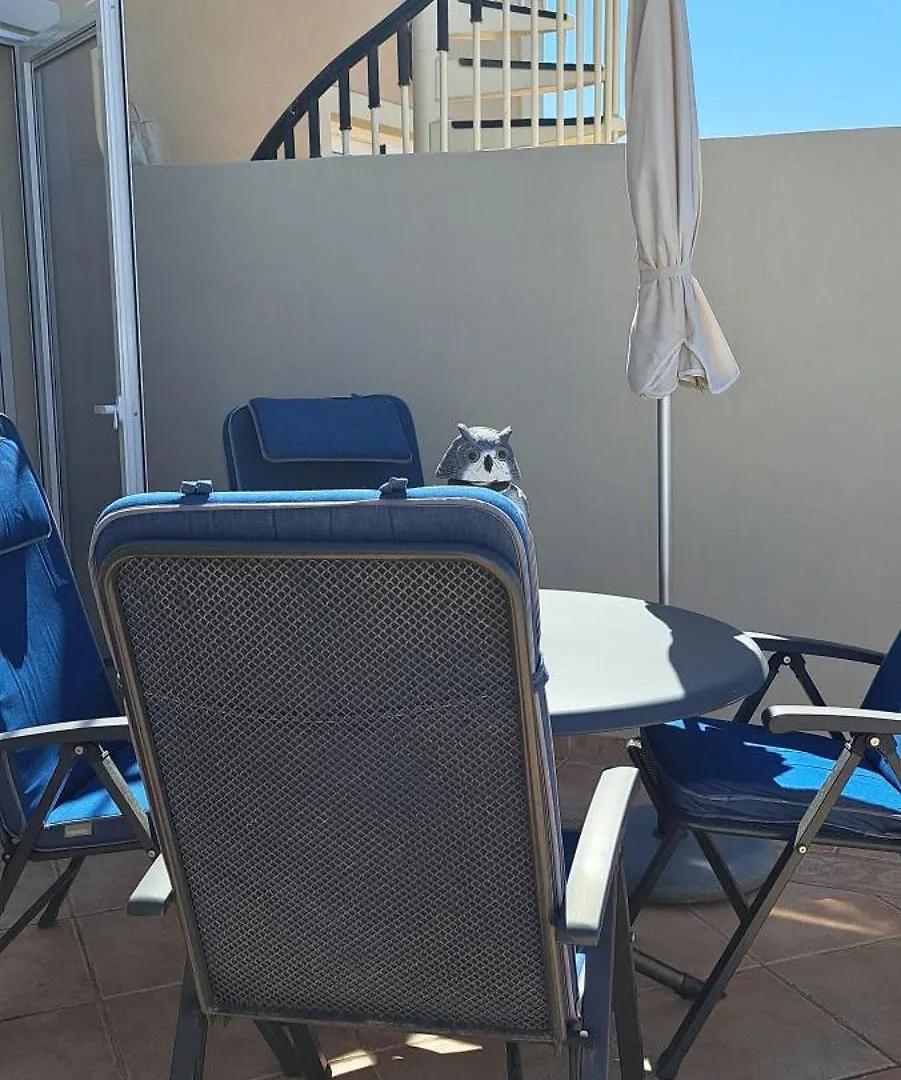 Casa Netty Lägenhet Palm-mar Spanien